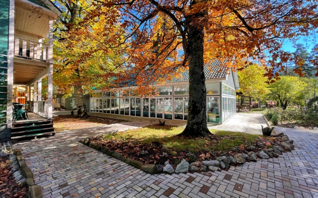 Grin Park Spa & Usadba Hotel