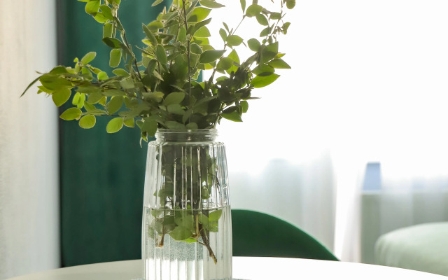 Квартира Невская звезда