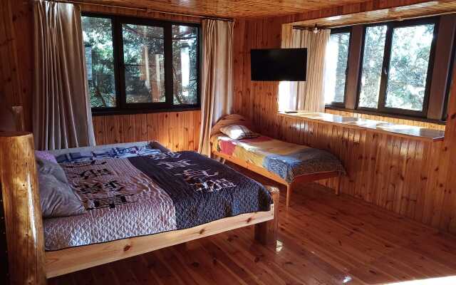 Mozhzhevelovyij Dom Guest House