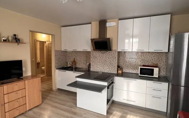 Апартаменты на улице Елизаровых 15/2