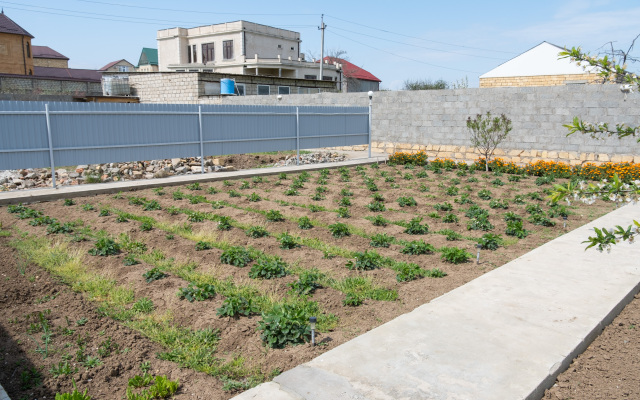 Гостевой дом Домик у Каспия