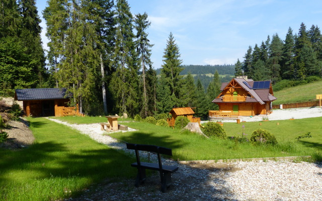 Апартаменты Domekpodhowyzem