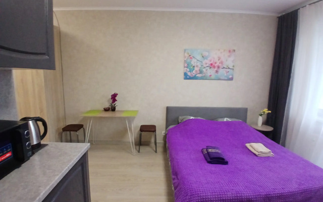 Квартира Уютное Гнездышко на Сутки