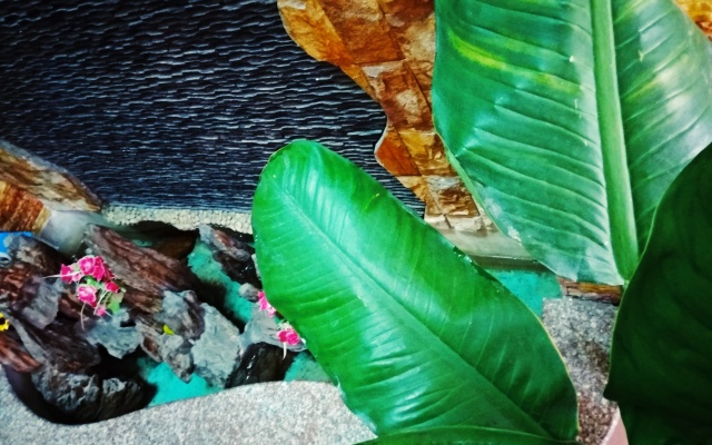 Win's Danang Homestay Guest House