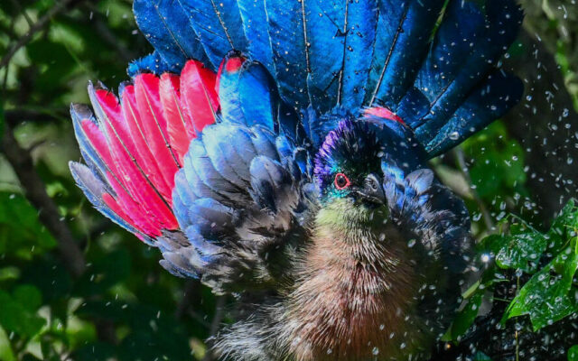 Шале The Hidden Valley