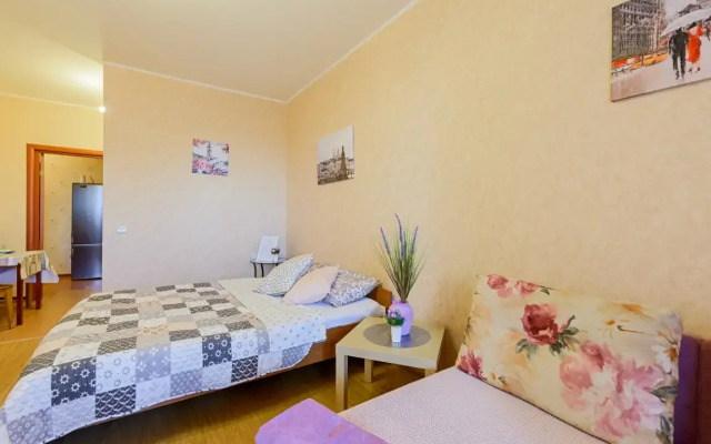 Апартаменты Домотелли 3 на Коломяжском