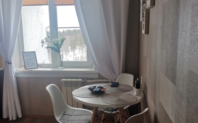 Zvereva 4 Apartments