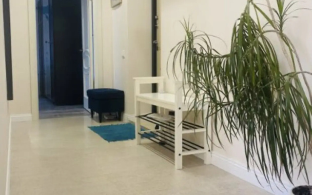 Квартира Central apartment