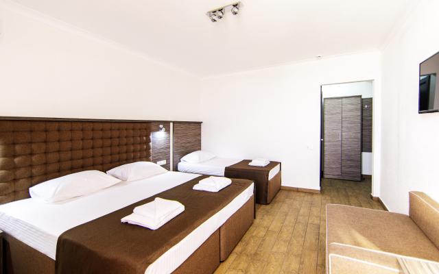 Отель Despina Family Hotel