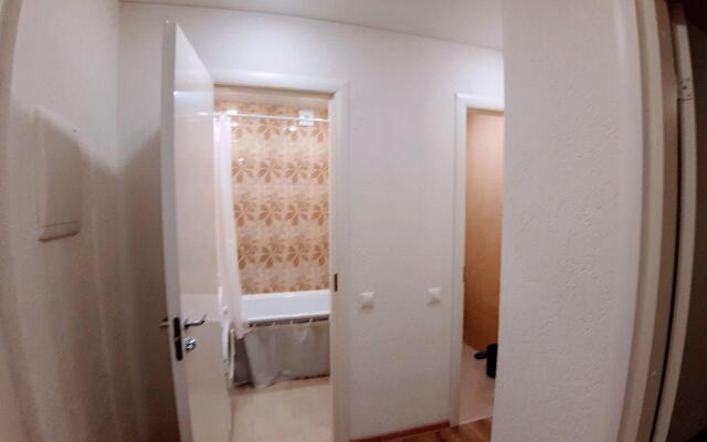 Апартаменты Flat-all 155 Bakunina