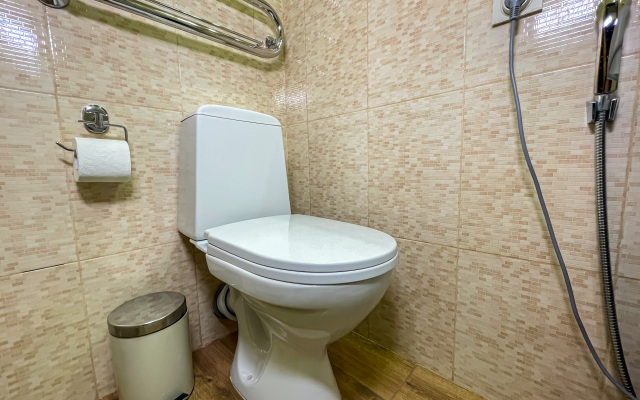 Uyutnye Prostornye Apartamenty u m.TsSK I Tts Aviapark Apartments
