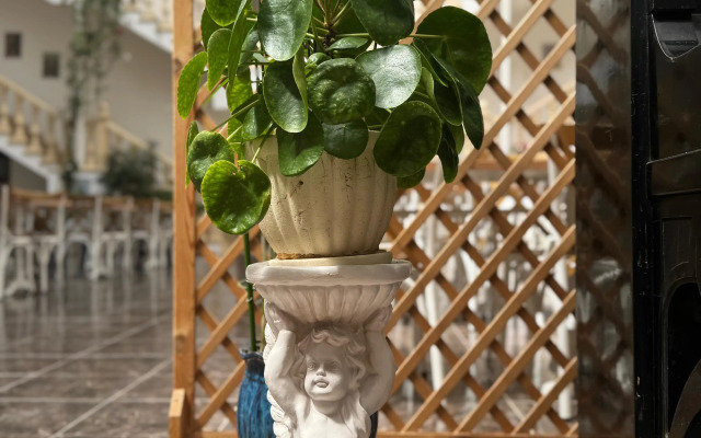 Lucette Guest House
