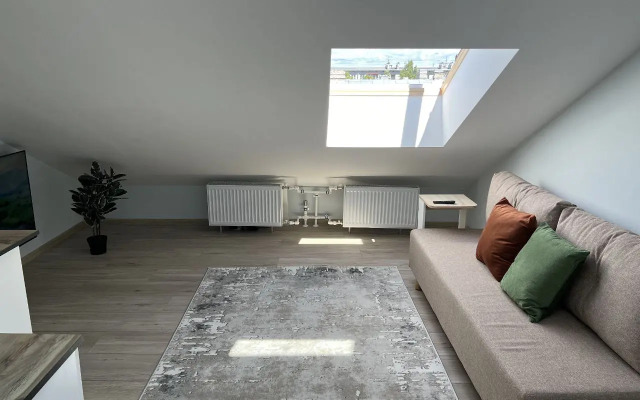 Апартаменты Душевная Студия - Мансарда в Центре Ломоносова