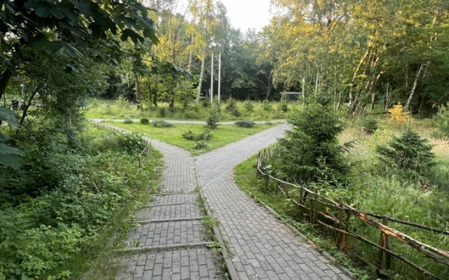 Квартира Цветочный Светлогорск