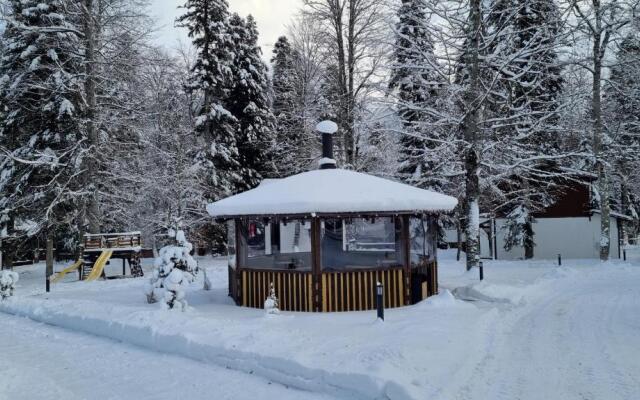 Dacha Apartments