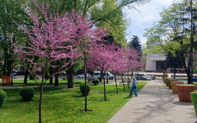 Частный дом у Парка