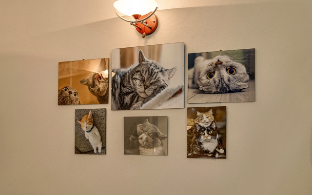 V Samom Tsentre Moskvi Flat