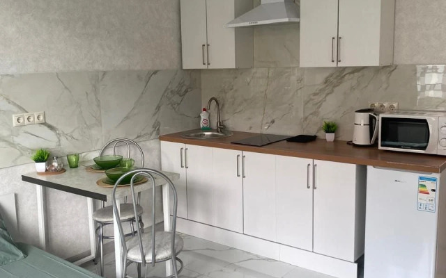 Svetlaya studiya u metro Solntsevo Flat