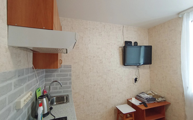 studiya na Utinom Prudu Flat