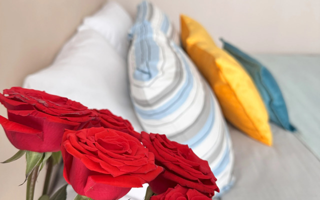 Sovremennaya Studiya V Novo Komarovo Flat