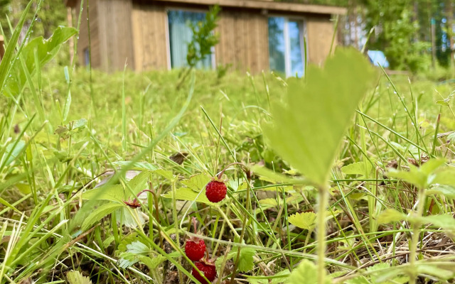 Гостевой дом Pientalo