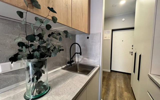 Uyutnaya Studiya S Vidom Na Reku Flat