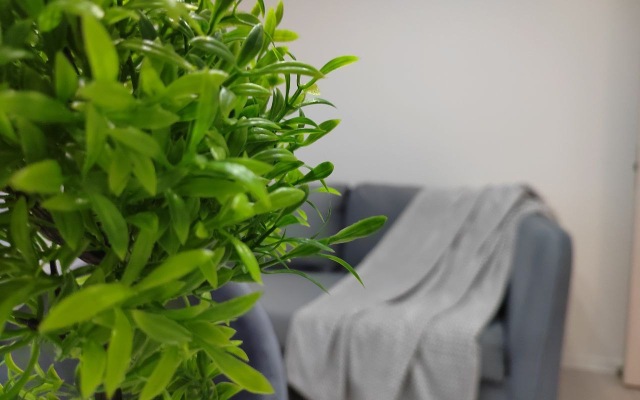 Квартира с Современным Дизайном