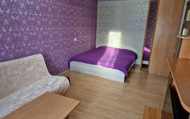 Апартаменты Яр-сутки на Ямской 80