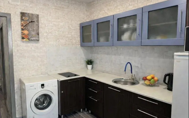 Апартаменты Кирова 206А