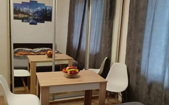 Квартира -студия 17,8 м²