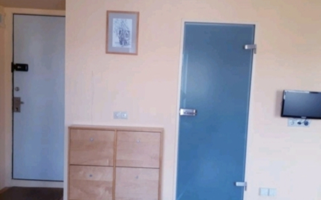 Direct express from airport to ur Moscow home Apartments