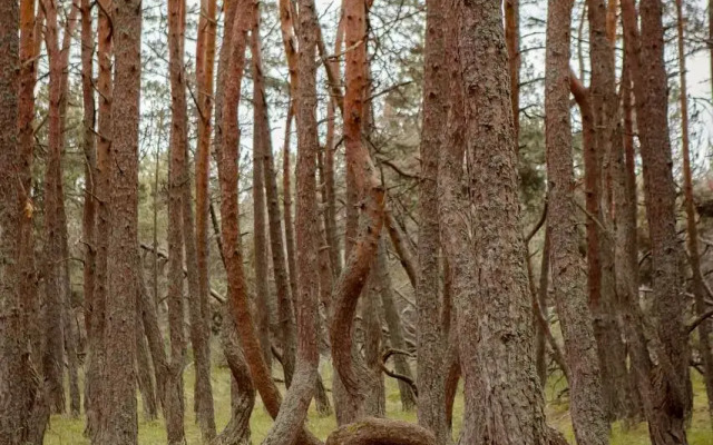 База отдыха Хан Шатыр