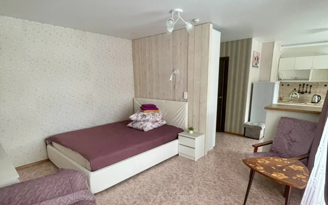 Квартира Стильная Студия от Сети 100Квартир