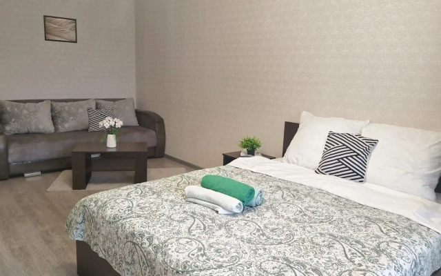 V Tsentre Goroda Flat
