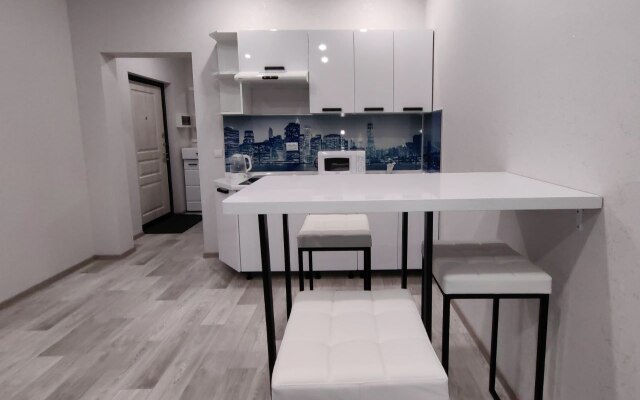 Sovremennaya studiya s vidom na Gorny Vozdukh Flat