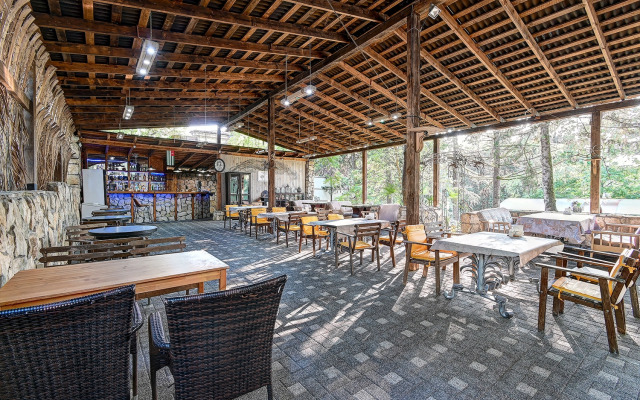 Gora Tsarya Bagrata Hotel 