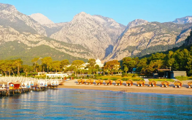 Juju Premier Palace 