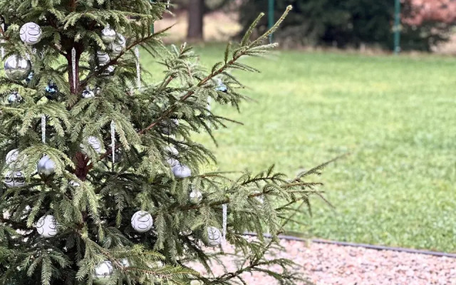 Частный дом Айвазовский в Завидово