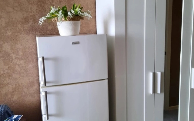 Na Kujbysheva 109A Flat