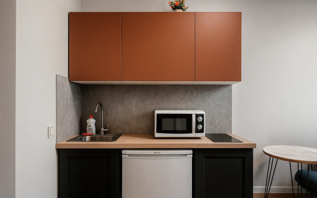 Апартаменты Metro Plus