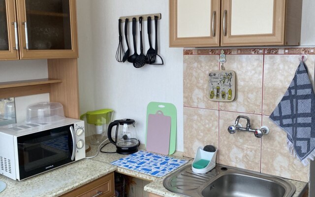 Uyutnaya Svetlaya Apartment