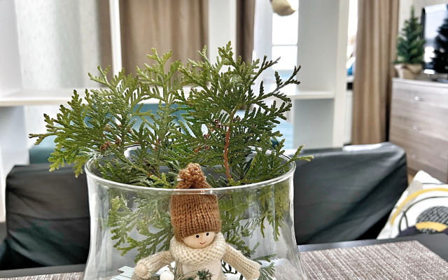 Апарт с видом на Неву и вантовый мост