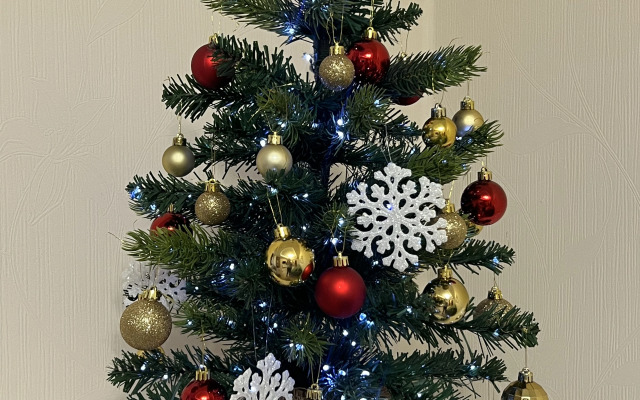 Апартаменты 3-комнатные Zoya-Apart