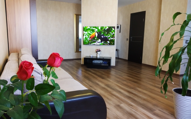 Two Room Business Studio Apartment on Moskovskiy prospekt