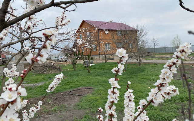Bushma Private house