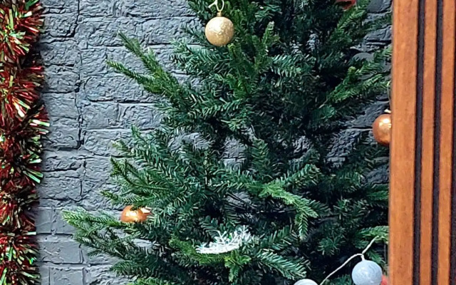 Апартаменты У Старокалинкинского моста