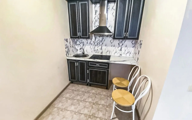 Uyutnaya Kvartira Vozle Sheremetyevo Apartments