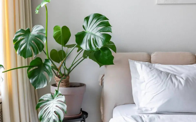 Квартира Видовая у Казанского собора