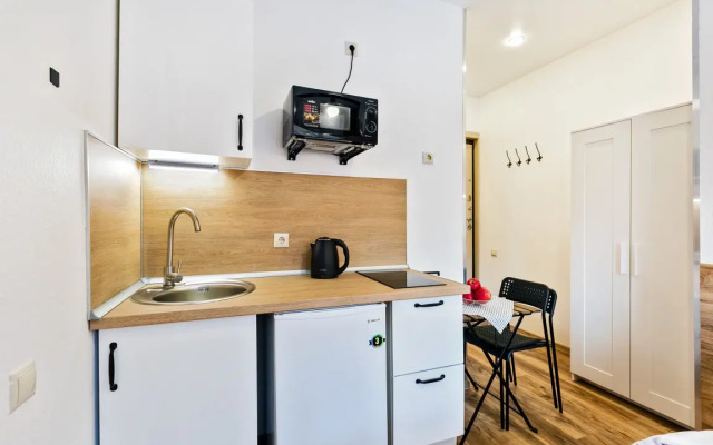 5 Revolyutsionnyij prospekt 25/12 Flat