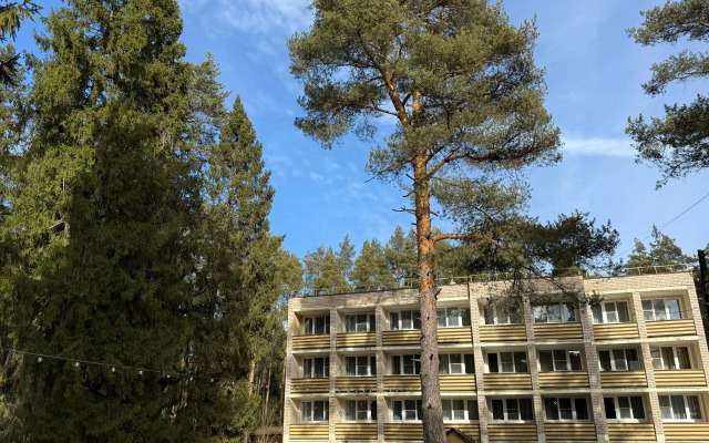 Sosnovyij Bor Hotel